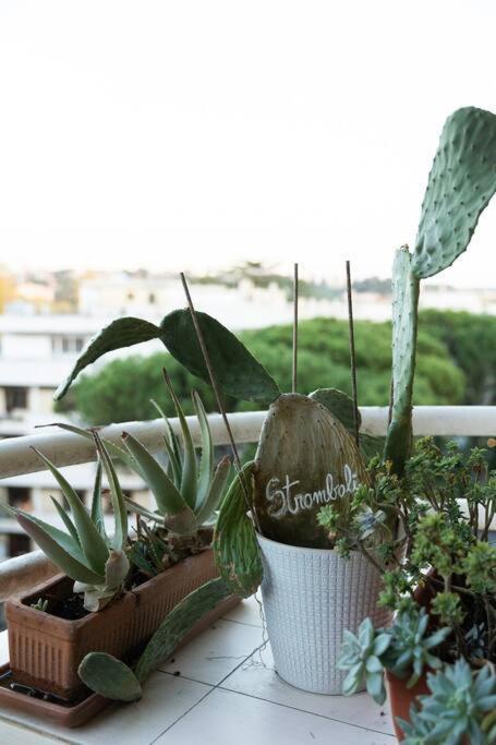 Casa 'Ttaja - Mediterranean Eco-Apartment Rzym Zewnętrze zdjęcie